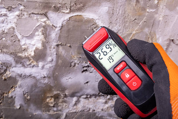 Best Fast Mold Removal  in Vale, OR