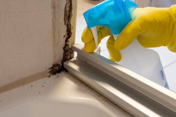 Best Certified Mold Removal  in Vale, OR